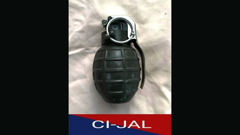 Punjab Police Arrest 2 Babbar Khalsa International Terror Operatives in Jalandhar, Chinese Type Hand Grenade Recovered