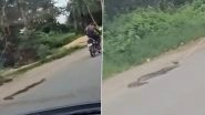 Animal Cruelty Caught on Camera in Kanker: Man Drags Giant Python Behind Bike on Chhattisgarh Road, Probe Launched As Video Goes Viral