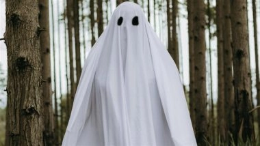 Ghost-Themed Protest: Vasai Residents Dress As &lsquo;Bhoot&rsquo; Against Swings, Slides and Gym Equipment in Benapatti Hindu Cemetery, Video Goes Viral