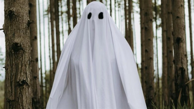 Ghost-Themed Protest: Vasai Residents Dress As ‘Bhoot’ Against Swings, Slides and Gym Equipment in Benapatti Hindu Cemetery, Video Goes Viral