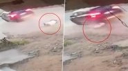 Jaipur Road Accident Caught on Camera: Retired Army Captain Killed After Being Hit and Dragged by Car, Police Launch Hunt for Woman Driver After Video Goes Viral