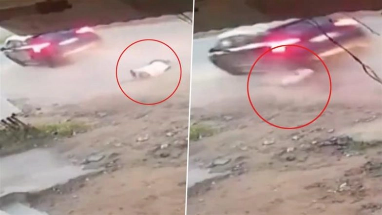 Jaipur Road Accident Caught on Camera: Retired Army Captain Killed After Being Hit and Dragged by Car, Police Launch Hunt for Woman Driver After Video Goes Viral