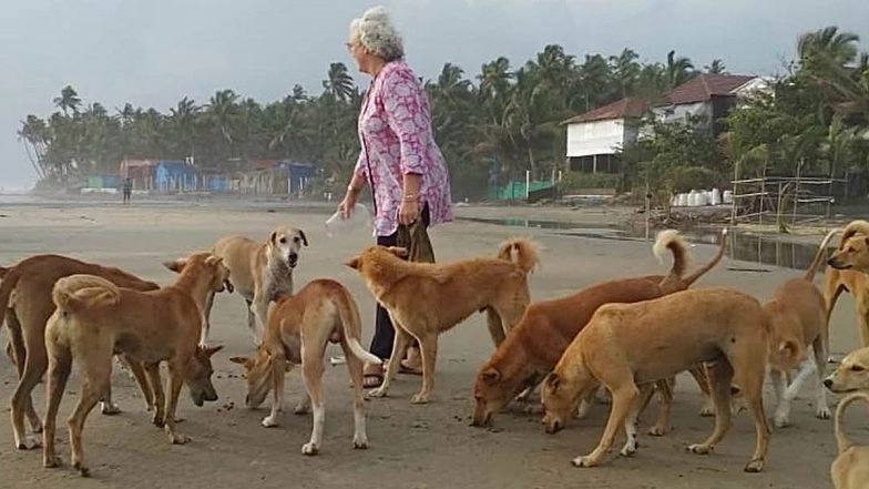 Nafisa Ali Calls Supreme Court&rsquo;s Stray Dog Relocation Verdict &lsquo;Devastating&rsquo;, Says &lsquo;Decision To Rid Delhi Roads of Dogs Is a Disaster in the Making&rsquo; (View Post)