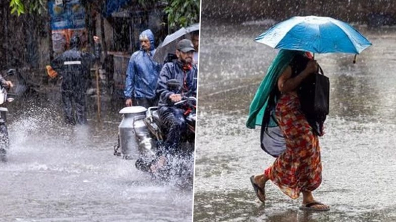 Heavy Rain Forecast in Gujarat, Fishermen Advised Not to Venture Into Sea Till August 28