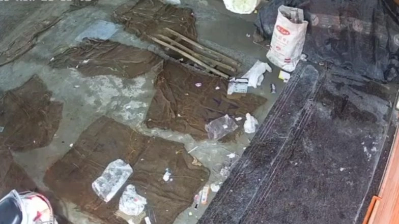 Cylinder Blast in Telangana: 1 Killed As Cooking Gas Cylinder Explosion Triggers Building Collapse Near Hyderabad in Medchal Town (Watch Video)