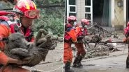 China: 8 Killed As Flash Flood Hits Mongolia; 4 Still Missing