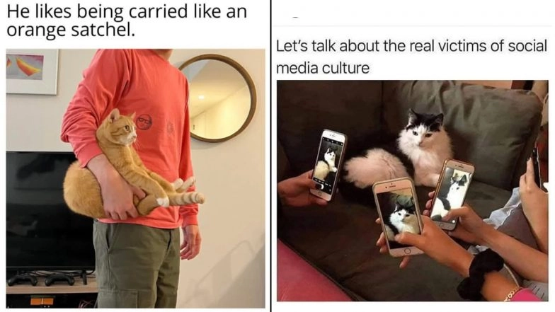 International Cat Day 2025 Funny Memes: Hilarious Cat Jokes, Pawsome Instagram Reels and Videos That Will Make You Purr With Laughter