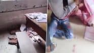 Gorakhpur: Class 5 Student Injured After Ceiling Plaster Falls on Him in UP School, Headmistress Suspended (Watch Video)
