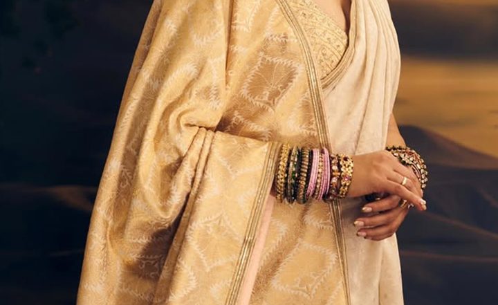 Genelia Deshmukh Birthday: 5 Saree Looks of &lsquo;Sitaare Zameen Par&rsquo; Actress Prove She&rsquo;s Queen of Grace and Elegance