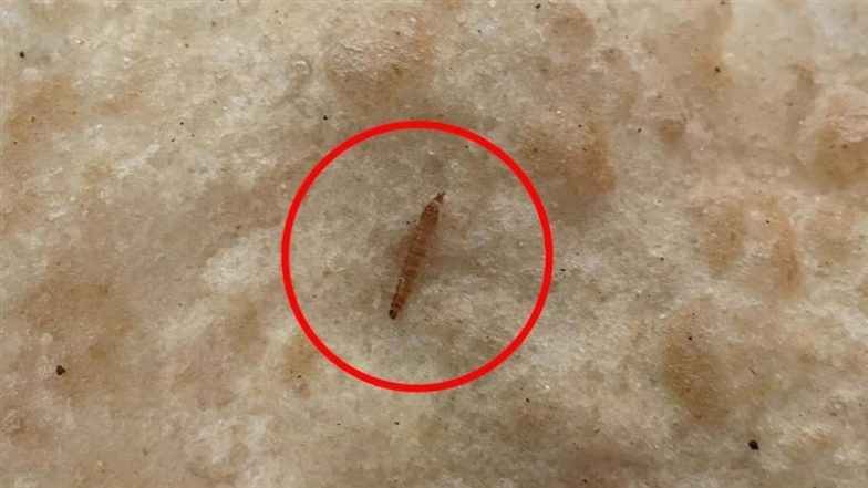 Worm Found in Bhatura Served at Pacific World School Canteen During PTM in Greater Noida, Video Goes Viral