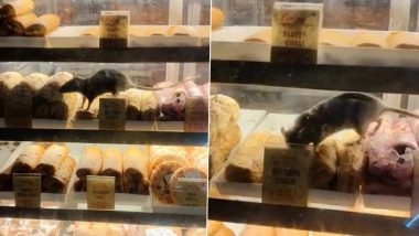 Cookxon Stall Rats Video: Penalty Imposed on Food Shop Owner at Sealdah Railway Station After Video Showing Rat Roaming and Eating Food Inside Glass Display Goes Viral