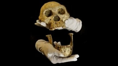 Georgia: 1.8-Million-Year-Old Homo Erectus Jawbone Unearthed in Orozmani, Oldest Human Remains Found Outside Africa