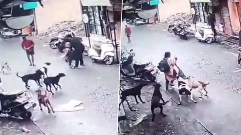 Dog Attack in Ulhasnagar: Schoolgirl Attacked by Pack of Stray Dogs Near Mumbai, Shocking Video Surfaces