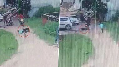 Amroha Dog Attack: Child Injured After Stray Dog Attacks Him While Playing on Road in UP, Disturbing CCTV Video Surfaces