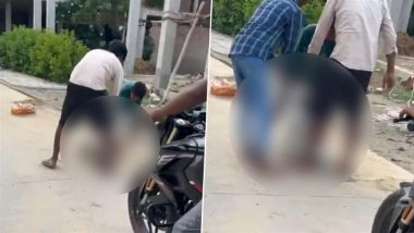Animal Cruelty in Kanpur: Stray Dogs Tied, Beaten and Stuffed in Sacks in UP’s Jajmau; Police Respond After Disturbing Video Surfaces