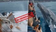 Did a Whale Attack a Boat, Injuring 40 People? Fact Check Reveals AI-Generated Clip Going Viral With Netizens Believing It To Be True