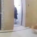 Ghaziabad Dog Attack Caught on Camera: Domestic Help Mauled by Pet in Amrapali Village Society, Owner Walks Away Without Helping; Shocking Videos Surface