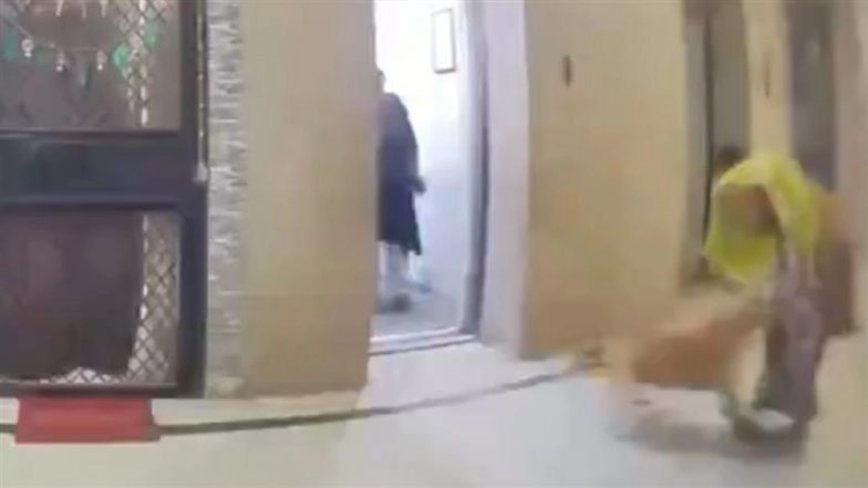 Ghaziabad Dog Attack Caught on Camera: Domestic Help Mauled by Pet in Amrapali Village Society, Owner Walks Away Without Helping; Shocking Videos Surface