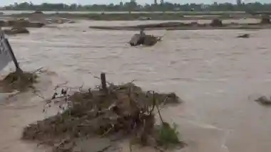 Jammu and Kashmir Weather Update and Forecast: Flood Situation Remains Grim in Jammu As Rivers Swell, MeT Forecasts More Rain Today
