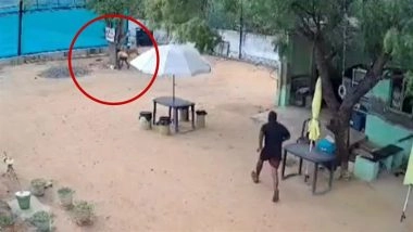 Madurai Dog Attack: Stray Dog Mauls 8-Year-Old Boy Outside Home, Injures Father Who Tried to Save Him; Shocking CCTV Video Goes Viral