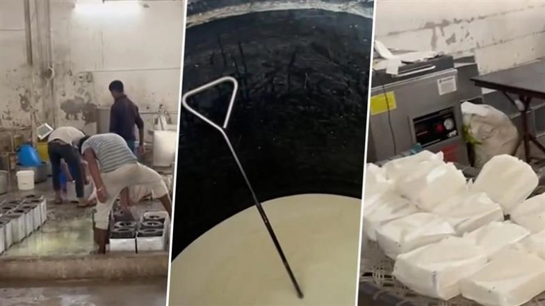 Fake Paneer Factory Busted in Gujarat: FDA Seizes 650 Kg Adulterated Paneer Made From Palm Oil and Industrial Acid in Mehsana Raid (Watch Video)