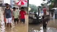 Lucknow School Holiday: Schools Closed in City Due to Heavy Rain; Ayodhya Area Flooded After Saryu River Overflows (Watch Videos)