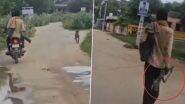 Animal Cruelty Caught on Camera in Jhunjhunu: Man on Bike Goes on Killing Spree, Guns Down Over 25 Stray Dogs in Rajasthan; Horrific Video Surfaces