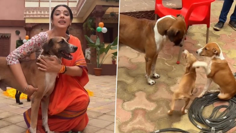 ‘They Understand Love and Kindness Which Humans Fail To Understand’: ‘Anupamaa’ Actress Rupali Ganguly Reacts to Supreme Court’s Delhi Stray Dog Relocation Order (View Post)