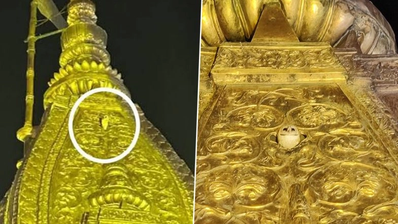 White Owl at Kashi Vishwanath Temple: Devotees Get Unique Darshan of Goddess Lakshmi’s ‘Vahana’ As Mighty Bird Graces the Temple Spire (See Pics)