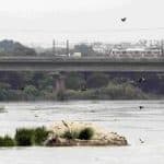 Delhi Rains: Yamuna Crosses Warning Mark As Monsoon Rains Trigger Widespread Flooding