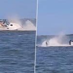 US Shocker: Minke Whale Dies, Passenger Goes Overboard After Boat Collision off New Jersey Coast; Disturbing Video Surfaces