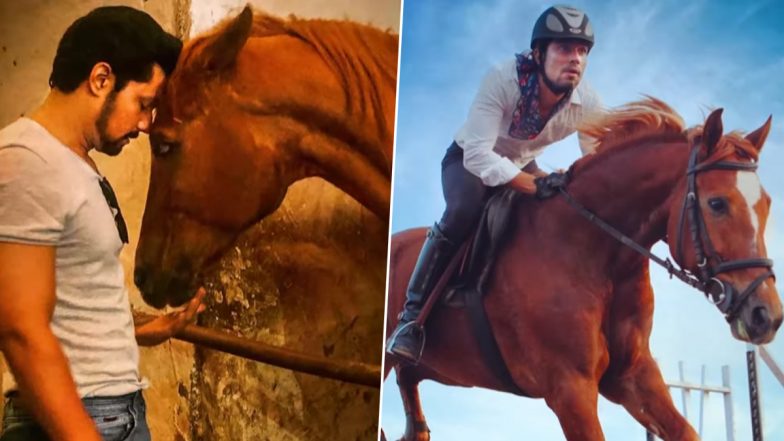 Randeep Hooda Pens Emotional Note for His Beloved Horse Ranji As He Bids Adieu