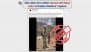 Fact Check: Social Media Posts Claiming Pakistani Forces Captured Indian Soldiers and Released Them After ‘Pakistan Zindabad’ Chants Are Fake, Old Video Circulated With Misinformation