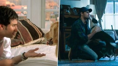 International Dog Day 2025: Karan Johar’s Dharma Productions Pays Adorable Tribute to Our Four-Legged Buddies With Heartwarming Social Media Post