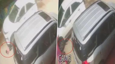 Ratlam Shocker: Toddler Playing Outside House Killed After Being Run Over by Teen Driver in Madhya Pradesh, Video Surfaces