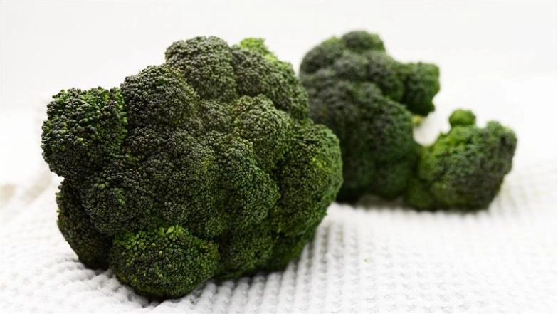 What Is Botulism? Know All About Rare Illness As Italian Singer Dies After Consuming Contaminated Broccoli Sandwich Amid Outbreak