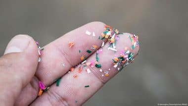 Microplastics in Crops May Threaten Food Production