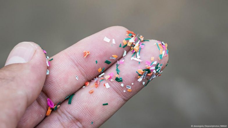 Microplastics in Crops May Threaten Food Production