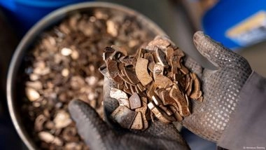 A German Town's Bid to Break China's Grip on Rare Earths