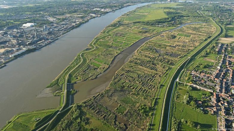 How Wetlands Help Cities Fight Floods in Belgium