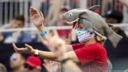 South Korea's Top Court Rejects 'Baby Shark' Copyright Claim
