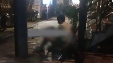 Lucknow Bestiality Horror: Man Sexually Assaults Street Dog, Friend Films Act; Arrested After Video Goes Viral