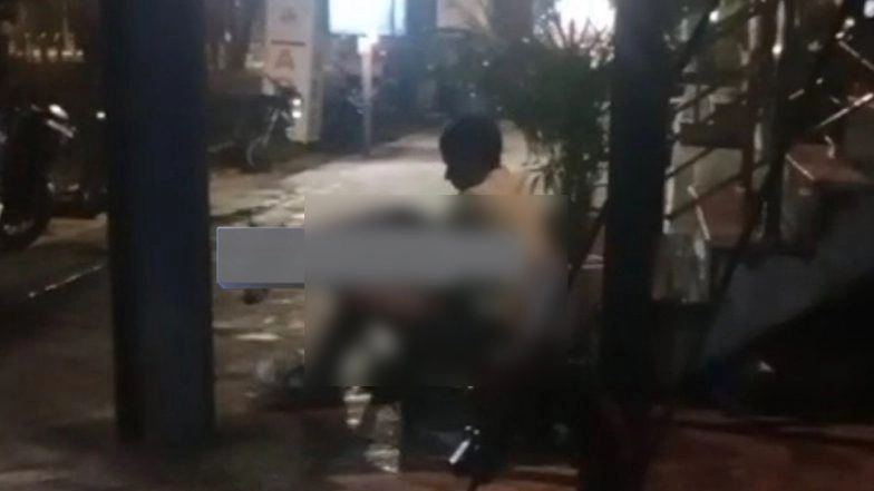 Lucknow Bestiality Horror: Man Sexually Assaults Street Dog, Friend Films Act; Arrested After Video Goes Viral