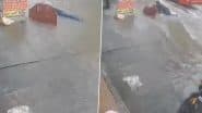 Mumbai Rains Tragedy: 17-Year-Old Boy Electrocuted to Death After Coming in Contact With Live Wire in Bhandup, Shocking Video Surfaces