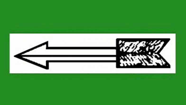 Bihar Assembly Elections 2025: JDU Releases First List of 57 Candidates; Fields Ratnesh Sada From Sonbarsa, Vijay Kumar Choudhary To Contest From Sarai Ranjan