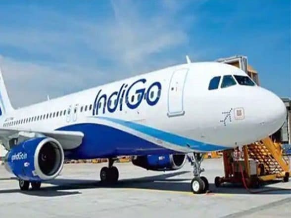 India News | Passenger Slapped Mid-air on IndiGo Flight; Accused Handed over to CISF