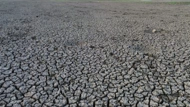 India News | Tamil Nadu: Thirupparankundram's Major Irrigation Tank Thenkal Kanmai Runs Dry