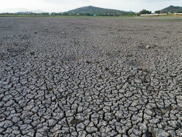 India News | Tamil Nadu: Thirupparankundram's Major Irrigation Tank Thenkal Kanmai Runs Dry