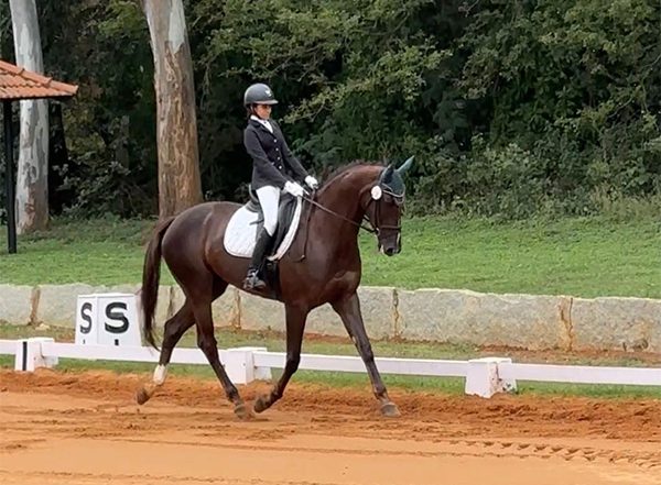 Sports News | ARC's Taarini, Stasya, Freya and Other Riders Shine at the Equestrian Premier League Show 2025
