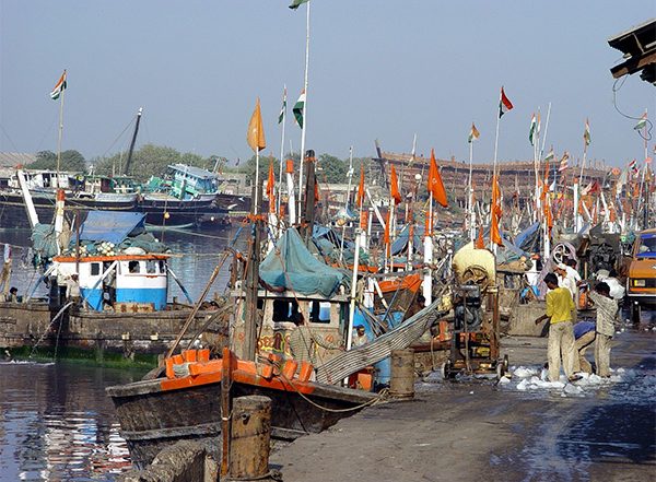 India News | Rs. 50 Crore Central Grant Released to Gujarat Under PMMSY, Becomes Second Largest Marine Fish Producer